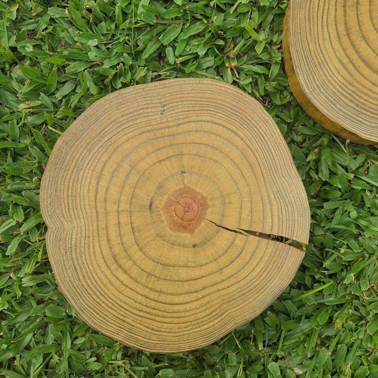 Bolacha de Madeira com Fenda Pisante de Jardim Épica Wood Blpn - 2