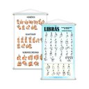 Ver imagem 1 de Libras Sinais + Números e Quantidades Kit 2 Banners Grande