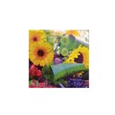 Ver imagem 1 de Guardanapo de Papel Decorado Folha Tripla 20 Unidades:girassol