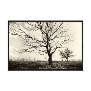 QUADRO DECORATIVO  60X80CM VIDRO ARVORES SOLITARIAS FLNT083
