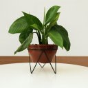 Ver imagem 3 de Kit 2 Suportes Tripé para Vaso de Plantas 18x15cm em Ferro Artesanal