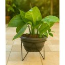 Ver imagem 2 de Kit 2 Suportes Tripé para Vaso de Plantas 18x15cm em Ferro Artesanal