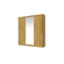 Ver imagem 6 de Guarda Roupa Casal 3 Portas de Correr com Espelho Omega