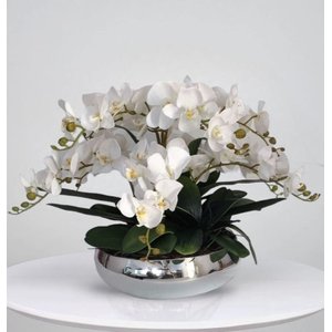 Arranjo de 6 Orquideas Artificiais Brancas Silicone e Vaso
