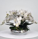 Ver imagem 1 de Arranjo de 6 Orquideas Artificiais Brancas Silicone e Vaso