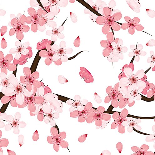 Papel de Parede Adesivo - 48 cm larg x 3 metros alt - Coleção Flores Sakura Flor de Cerejeira - - 1