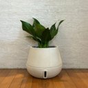 Ver imagem 2 de Vaso Inteligente Brota Cuia M Autoirrigável Decoração Planta:areia Bege