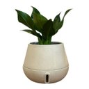 Ver imagem 1 de Vaso Inteligente Brota Cuia M Autoirrigável Decoração Planta:areia Bege