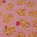 Ver imagem 4 de Colchão de Berço Espuma D18 Pro Confort Baby 70x130x10cm Rosa Hellen