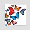 Quadro Borboletas Coloridas Tela Moldura Branca 40X40Cm - 1