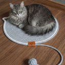 Ver imagem 6 de Tapete Arranhador Cama Gato Pet Animais Estimacao Rasqueavel Confortavel Divertido Felino Petshop Ca