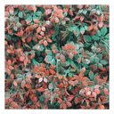 Ver imagem 1 de Kit 2 Placas Muro Inglês Jardim Vertical Artificial Avermelhada 40x60cm