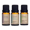 Ver imagem 1 de Kit Imunidade 3 Óleos Essenciais Via Aroma 10ml