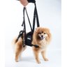 Peitoral com suporte das patas traseiras para Pets com deficiência para andar, cor preta:P (55 a 65  - 2
