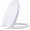 Assento Sanitário Universal Oval Branco Gelo - Auspp00cv - Tupan Assento Universal Solution Ppcv Bra - 1