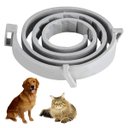 Ver imagem 1 de Coleira Anti Pulga Cachorro Pet Cao Gato Leishmaniose Carrapato Canino Felino Tamanho Ajustavel Prot
