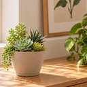 Ver imagem 5 de Vaso Cachepot Pequeno 15,5cm Tramontina Asteca Polietileno g