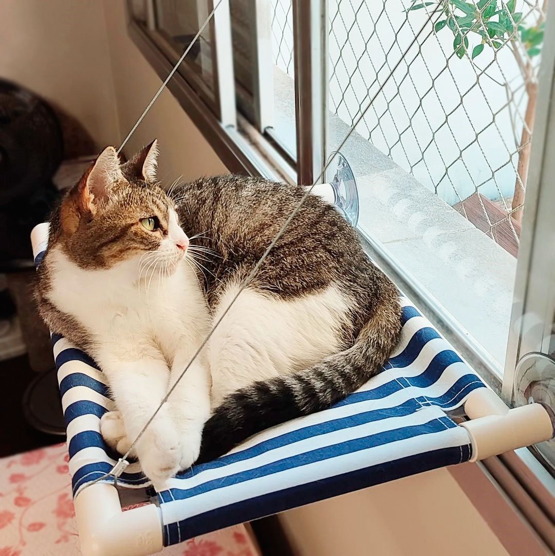 CatBed Mykonos - cama de gato para janela - 1