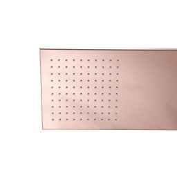 Ducha Chuveiro Prizi Slim Rose - 2