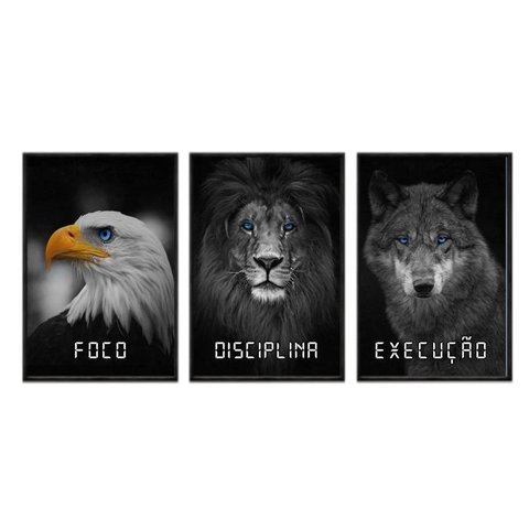 Kit 03 Quadros Decorativos - Foco Disciplina Execucao Frs005 - Vidro com Impressão Uv - 60x80cm