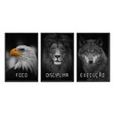 Ver imagem 1 de Kit 03 Quadros Decorativos - Foco Disciplina Execucao Frs005 - Vidro com Impressão Uv - 60x80cm