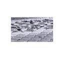 Ver imagem 3 de Colchão Casal Toraflex Espuma Coala D33 138x188x16