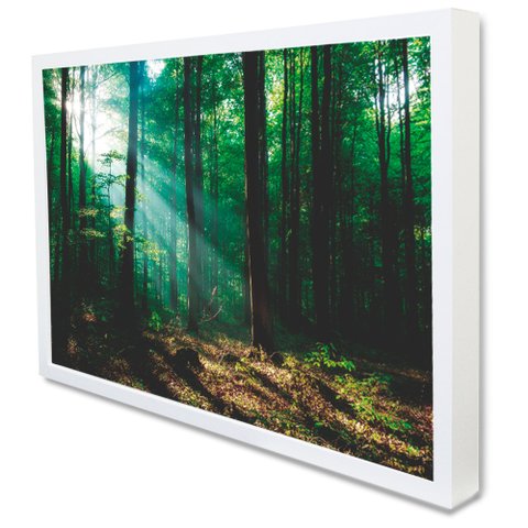 Quadro Decorativo Floresta Verde em Moldura Caixa Tacolado Moldura Trad 1cm Branca com Vidro 20 X 30