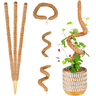 Kit 3 Tutor de Plantas de Fibra de Coco Estaca Flexível 80cm - 1
