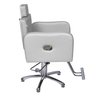 Poltrona Cadeira Hidráulica Tokyo Reclinável Para Salão Coletas - Prata Factor - 2