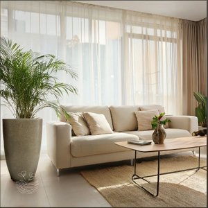 Vaso Pisa 40cm Largura X 70cm Altura