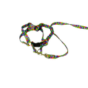 Ver imagem 6 de Conjunto Peitoral e Guia Ajustável RBPet - Cães e Animais de Micro Porte