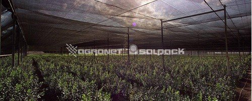 Tela Sombrite Sombreamento 80% Preta Sem Acabamento 3x45 - 3