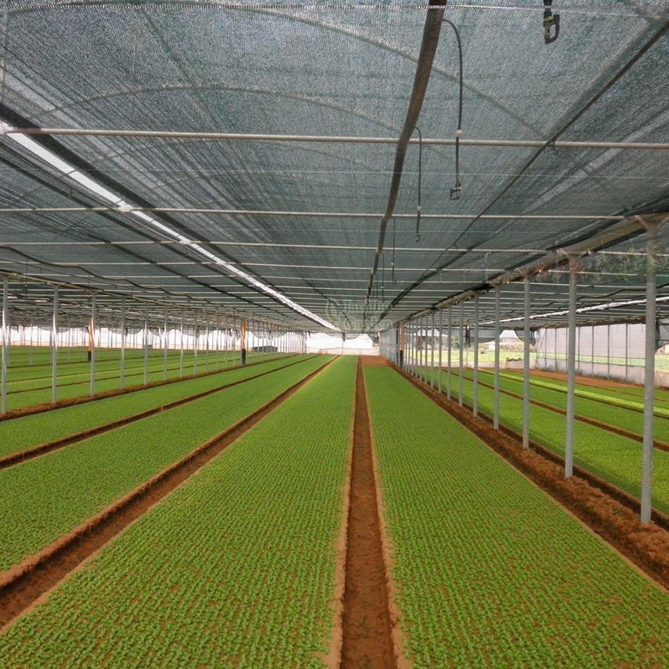 Tela Sombrite Sombreamento 80% Preta Sem Acabamento 3x45 - 6