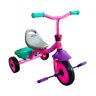 Triciclo Infantil até 30kg - Rosa - 1