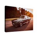 Ver imagem 1 de Quadro Mustang Shelby