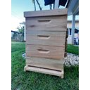 Ver imagem 5 de Caixa de Abelha Padrão Langstroth Eucalipto com 2 Melgueiras