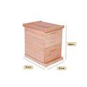 Ver imagem 2 de Caixa de Abelha Padrão Langstroth Eucalipto com 2 Melgueiras