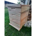 Ver imagem 6 de Caixa de Abelha Padrão Langstroth Eucalipto com 2 Melgueiras