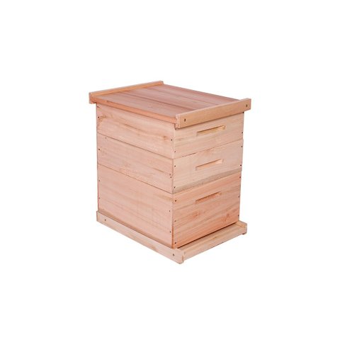 Caixa de Abelha Padrão Langstroth Eucalipto com 2 Melgueiras