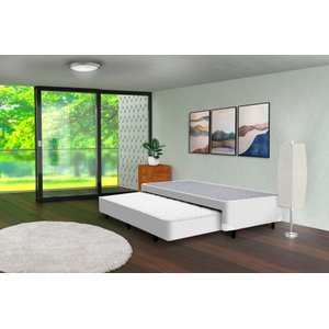 Bicama Molejo Basic solteiro Yescasa