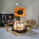 Ver imagem 7 de Luminária Love O Girassol Encantado 28 Cm Presente para Namorada Presente De Natal Presente dia das
