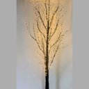 Ver imagem 1 de Árvore de Galhos com LED Pontos de Luz com 800 LED Warm Bivolt Preta 180 cm A A DISTRIBUIDORA 9557