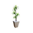 Ver imagem 1 de Planta Artificial Árvore Yucca 1,60m Kit + Vaso Trapézio D. Grafiato Bege 40cm