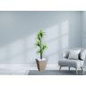 Planta Artificial Árvore Yucca 1,60m Kit + Vaso Trapézio D. Grafiato Bege 40cm - 2