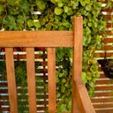 Ver imagem 4 de Banco de Jardim Namoradeira de Madeira 2 Lugares Com cera:Com Cera
