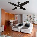 Ver imagem 3 de Ventilador de Teto Com Controle Remoto Natuvent Callis Led 4 Pás Madeira Preto 6500k Branco Frio, Lu