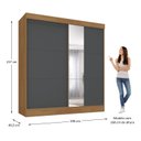 Ver imagem 6 de Guarda-roupa Casal Flex com Espelho 2 Portas 3 Gavetas Pantanal