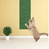 Arranhador Gato de Parede-Porta 65x20cm Fácil Fixação Verde - 1