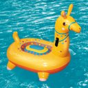 Ver imagem 4 de Boia Lhama