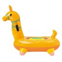 Ver imagem 2 de Boia Lhama